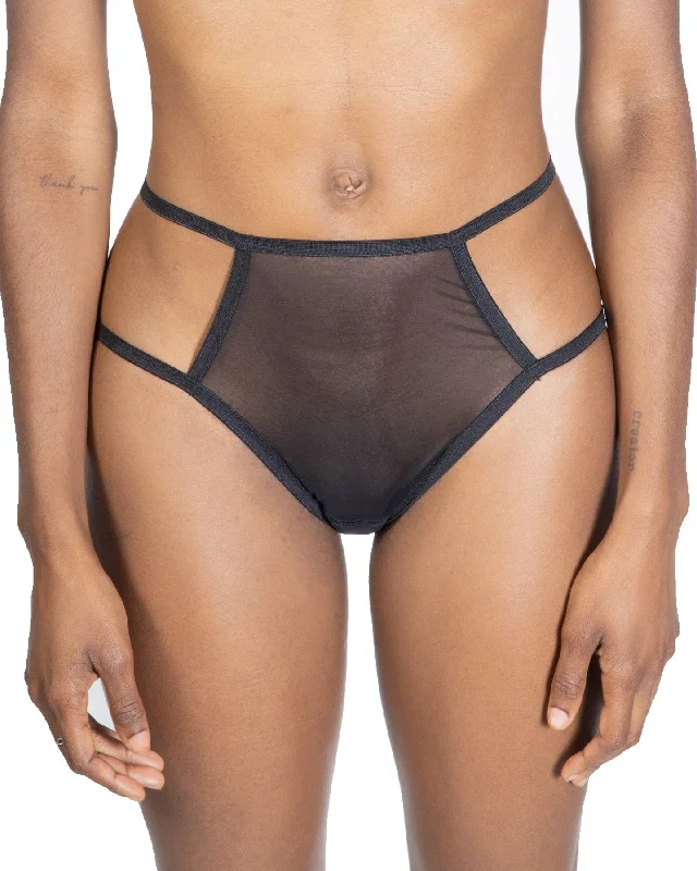 sheer lace hipster panties for womenSheer Mesh Briefs, Teja